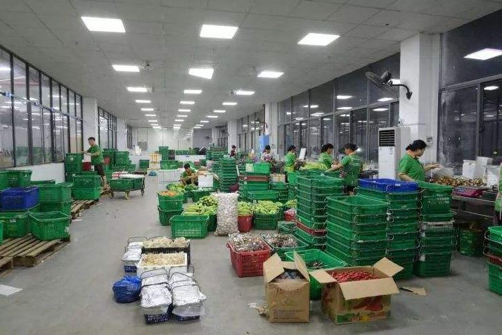 食堂生鲜配送怎么保证新鲜度 食堂生鲜配送怎么保证新鲜度